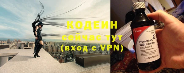 шишки Горно-Алтайск