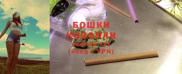 шишки Горно-Алтайск