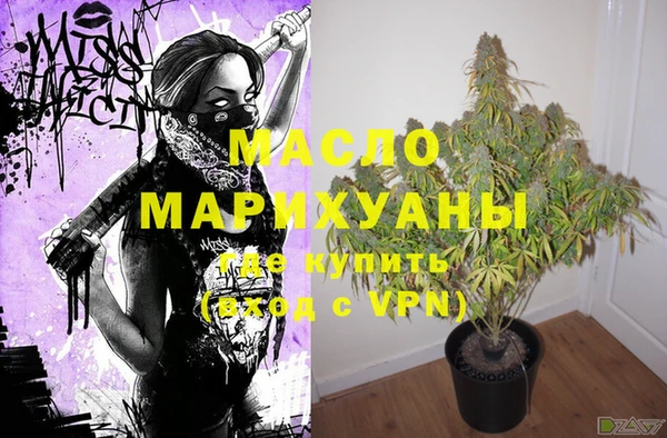 шишки Горно-Алтайск