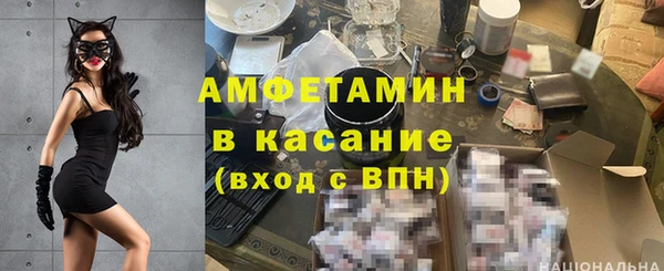 шишки Горно-Алтайск