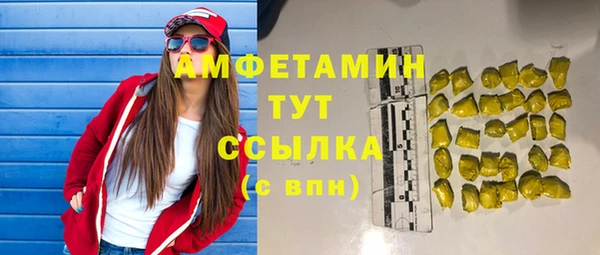 шишки Горно-Алтайск
