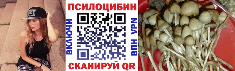 Псилоцибиновые грибы Psilocybine cubensis  где продают наркотики  Мытищи 